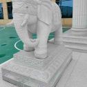 亳州 白麻花岗岩动物异形石雕-大象