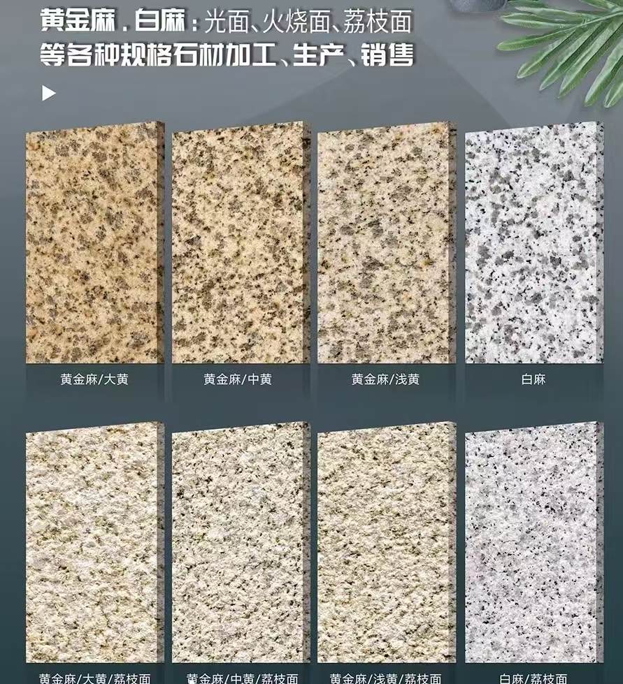 亳州 黄金麻白麻样品展示